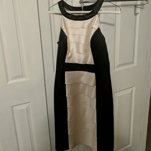 BCBG Black and Cream Cocktail Dress